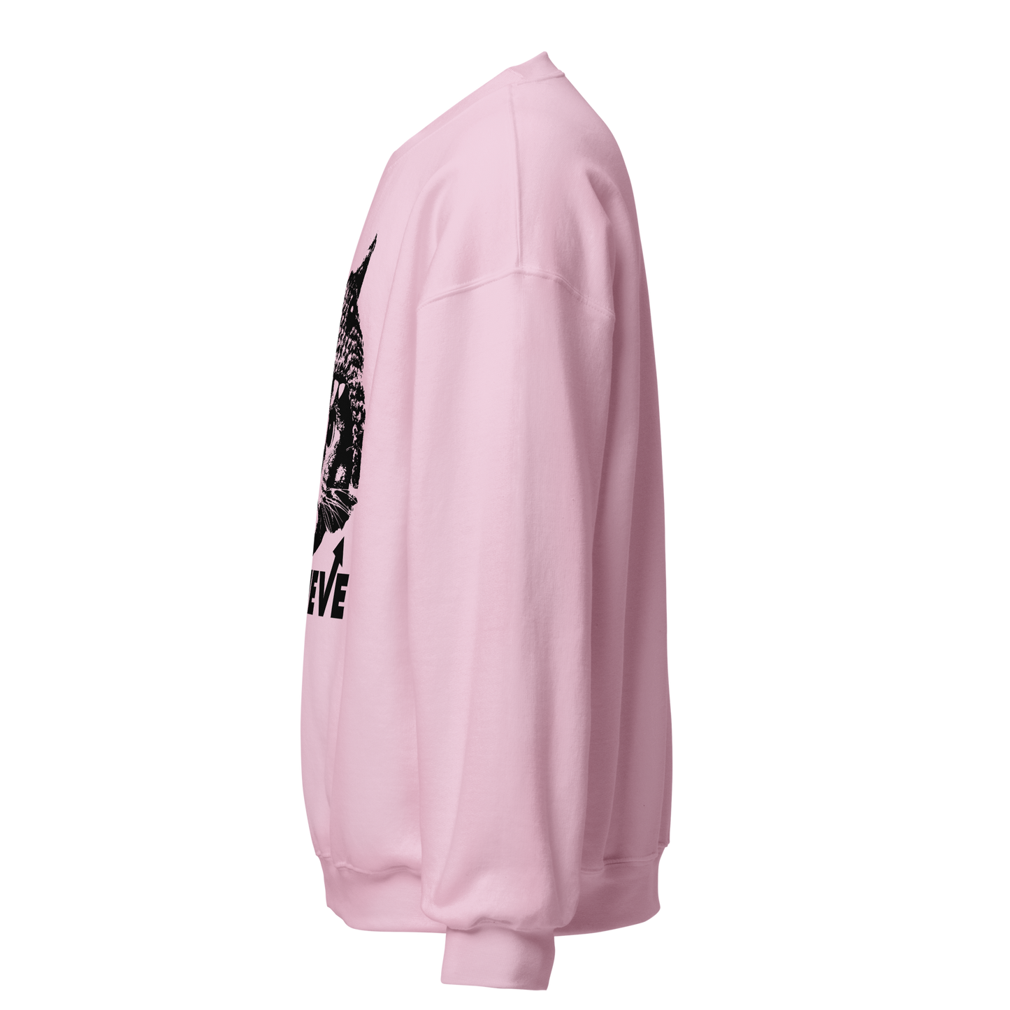 Believe Unisex Sweatshirt