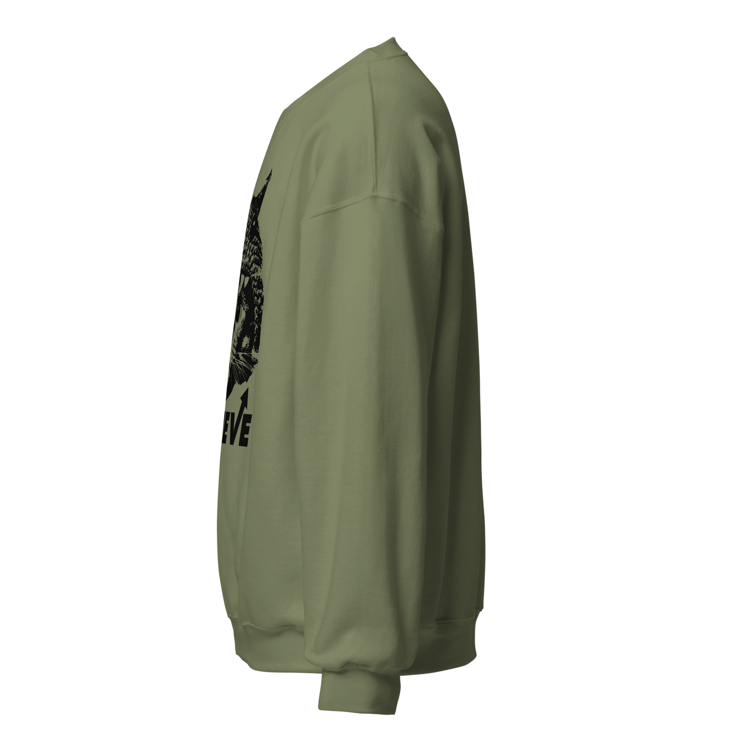 Believe Unisex Sweatshirt