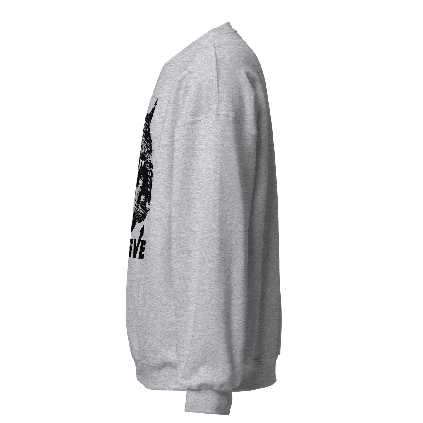 Believe Unisex Sweatshirt