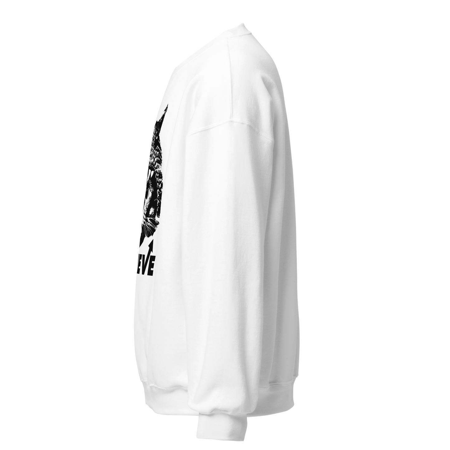 Believe Unisex Sweatshirt